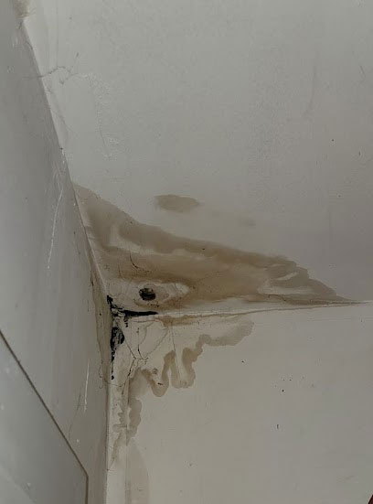 ceiling-mold ceiling mold